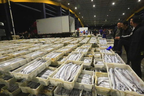 寒潮來襲，石浦水產城交易忙 冷鏈物流與“冰火”購銷的春節前奏